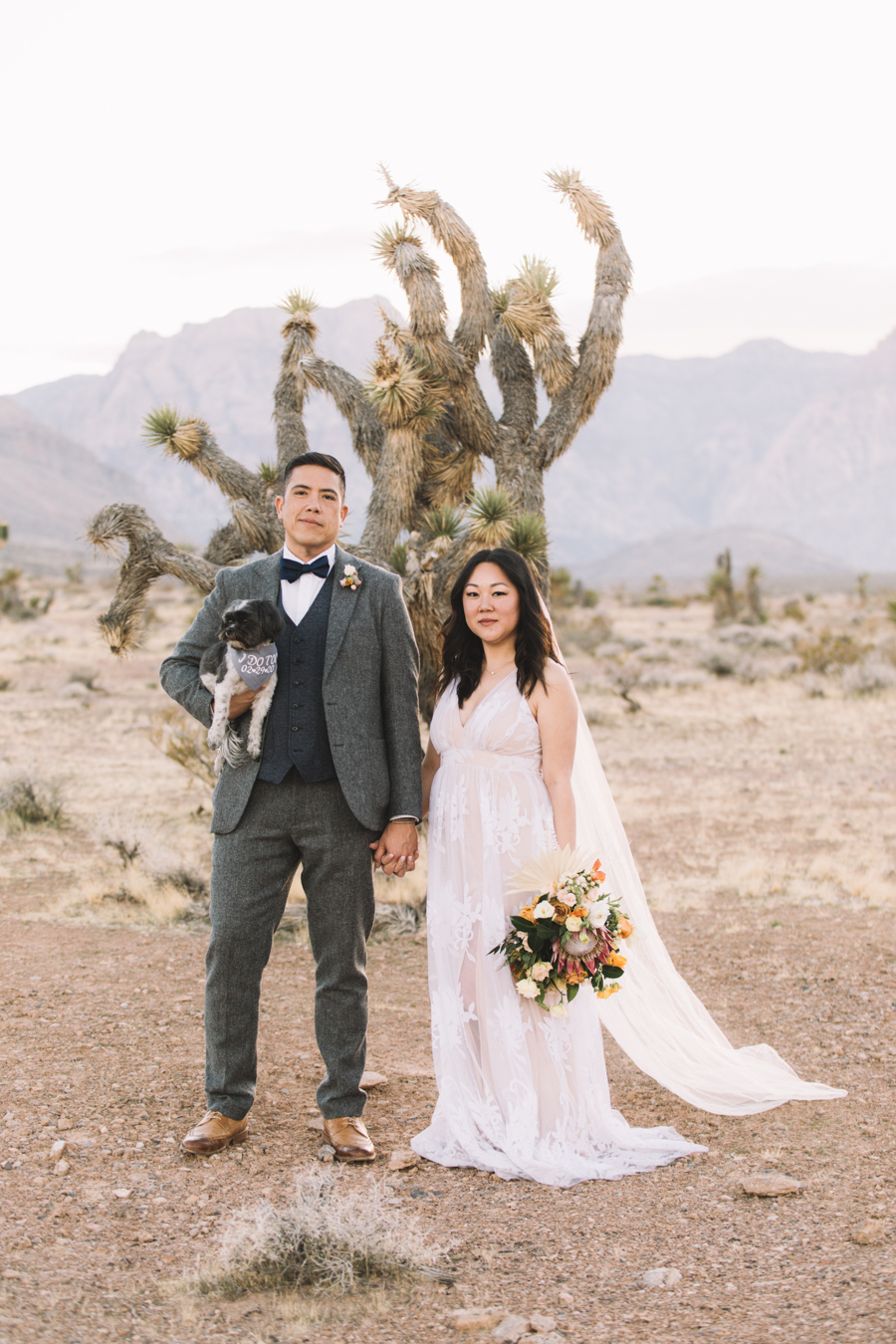Bride & Groom at Red Rock Canyon State Park