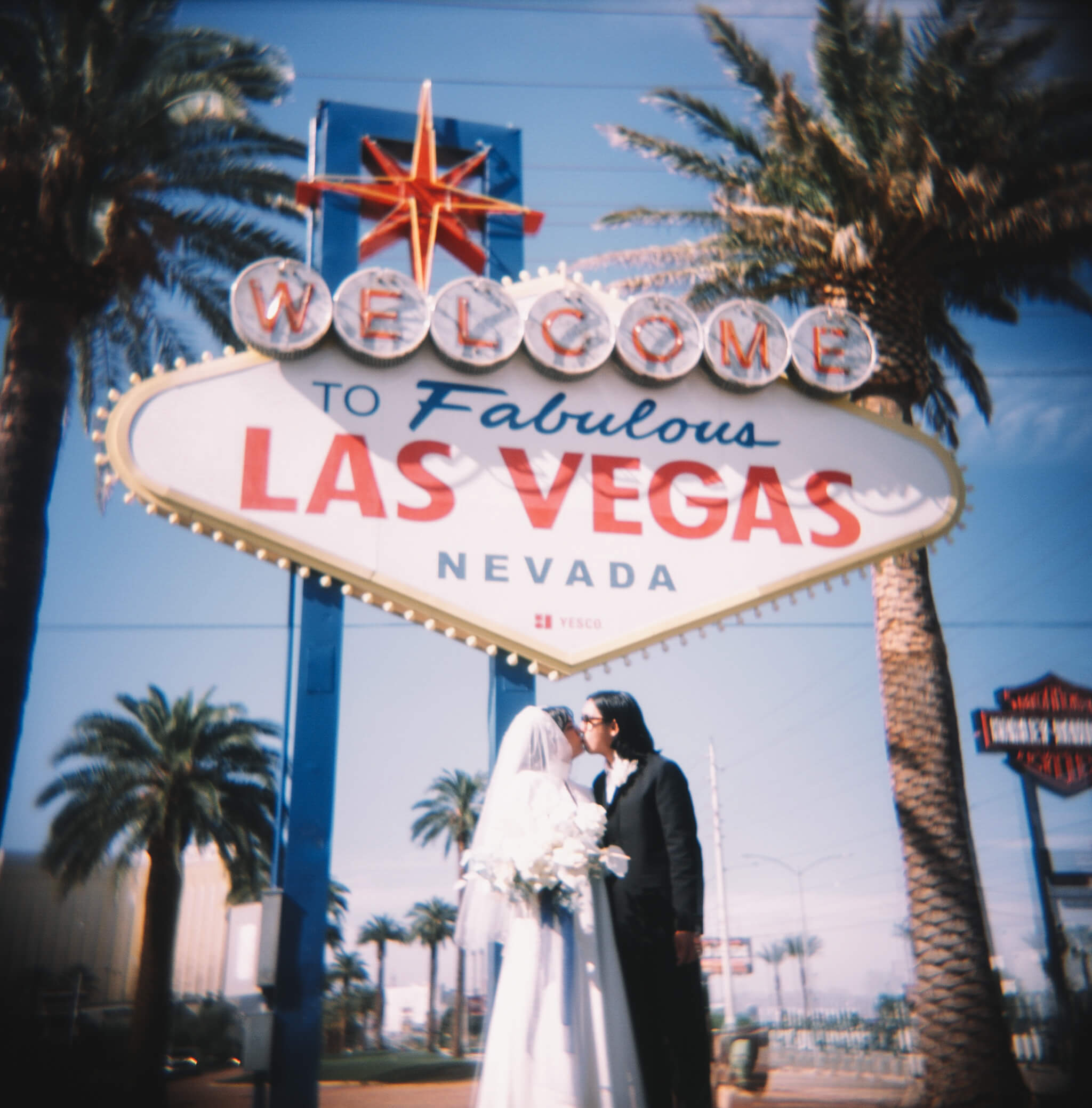 Just Married at Welcome to Las Vegas Sign